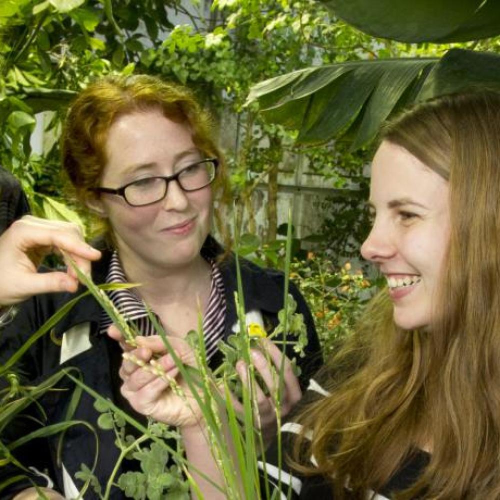 environmental horticulture and urban forestry students stand among plants 