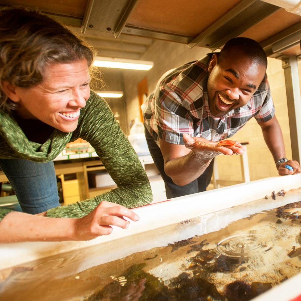 A professor and student looking in a fish tank