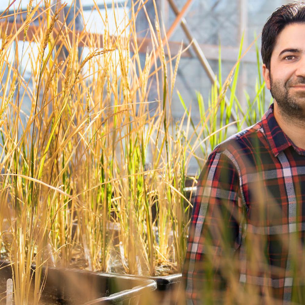 A male student poses with several grass samples 