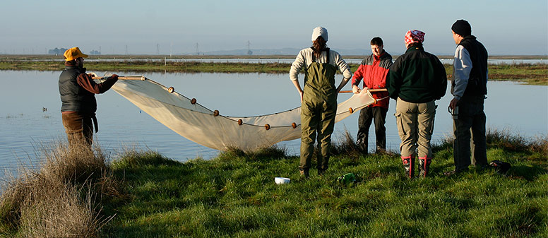 Several people with a big cloth at the edge of a lake