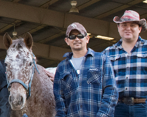 Two men stand with a horse