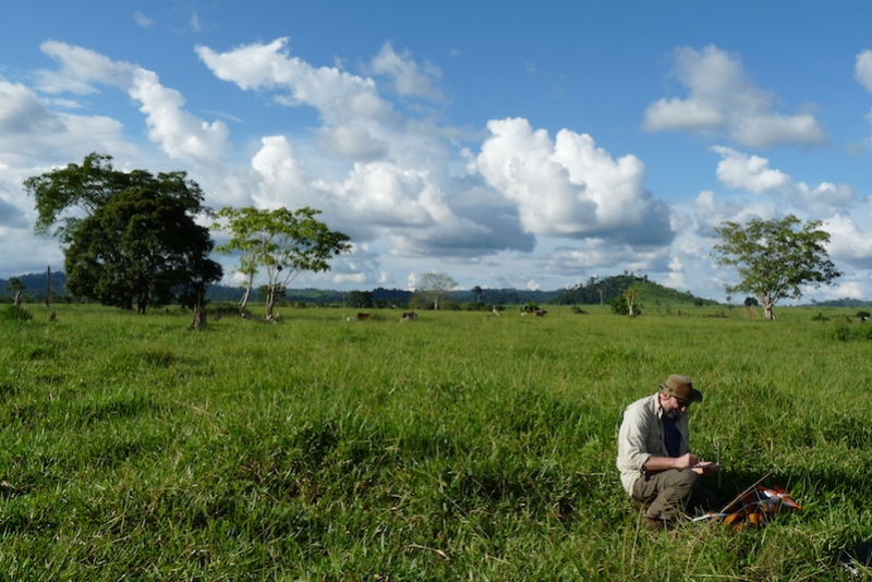 Amazon pasture