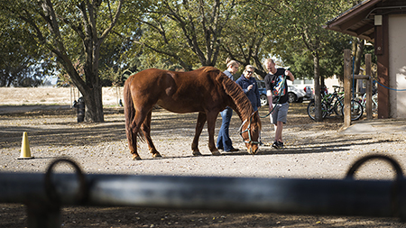 Three people with a horse