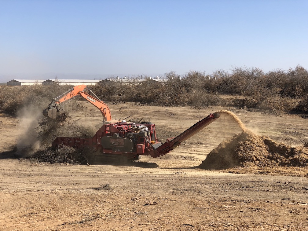 truck grinds trees at almond orchard in California