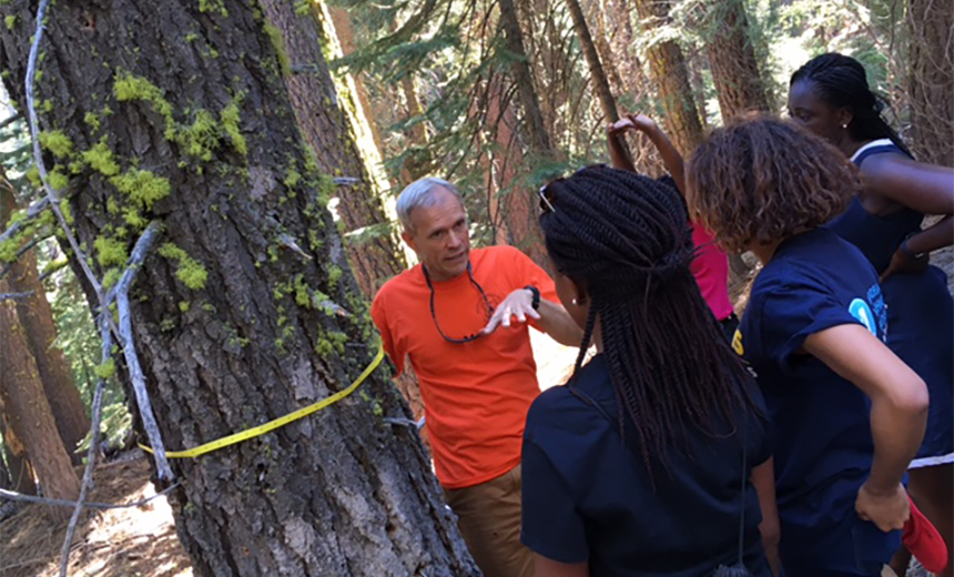 Groups stands around tree