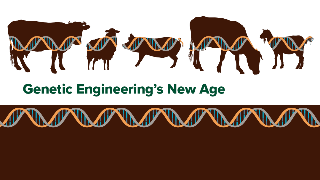 Genetic Engineering's New Age | UC Davis Magazine