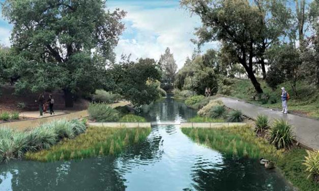 Arboretum Waterway Improvement Begins