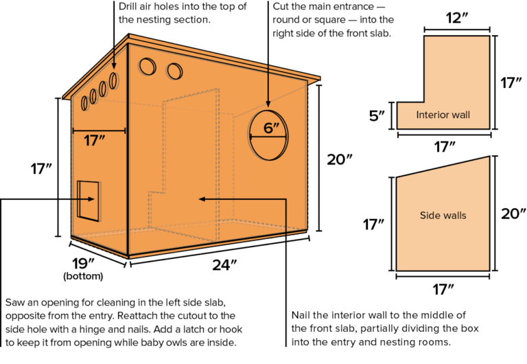 Barn owl box plans pdf