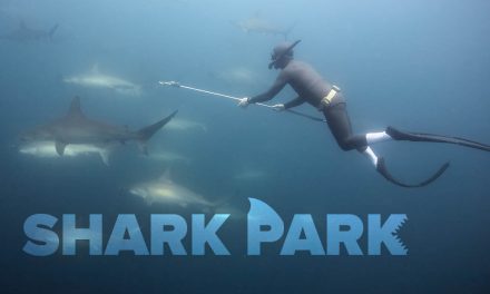 Shark Park