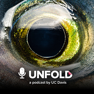Unfold podcast logo