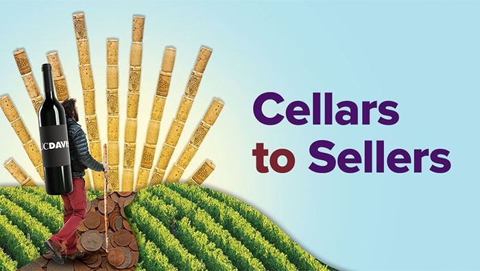 Graphic header that says: Cellars to Sellers
