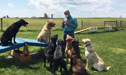 Alumna Further Studies COVID-19 Detection Dogs