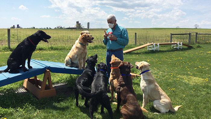 Pat Nolan with COVID detection dogs