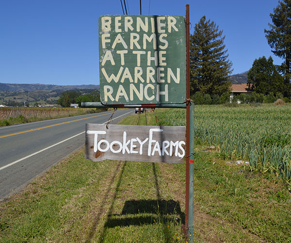 A sign on the road for Tookey Farms