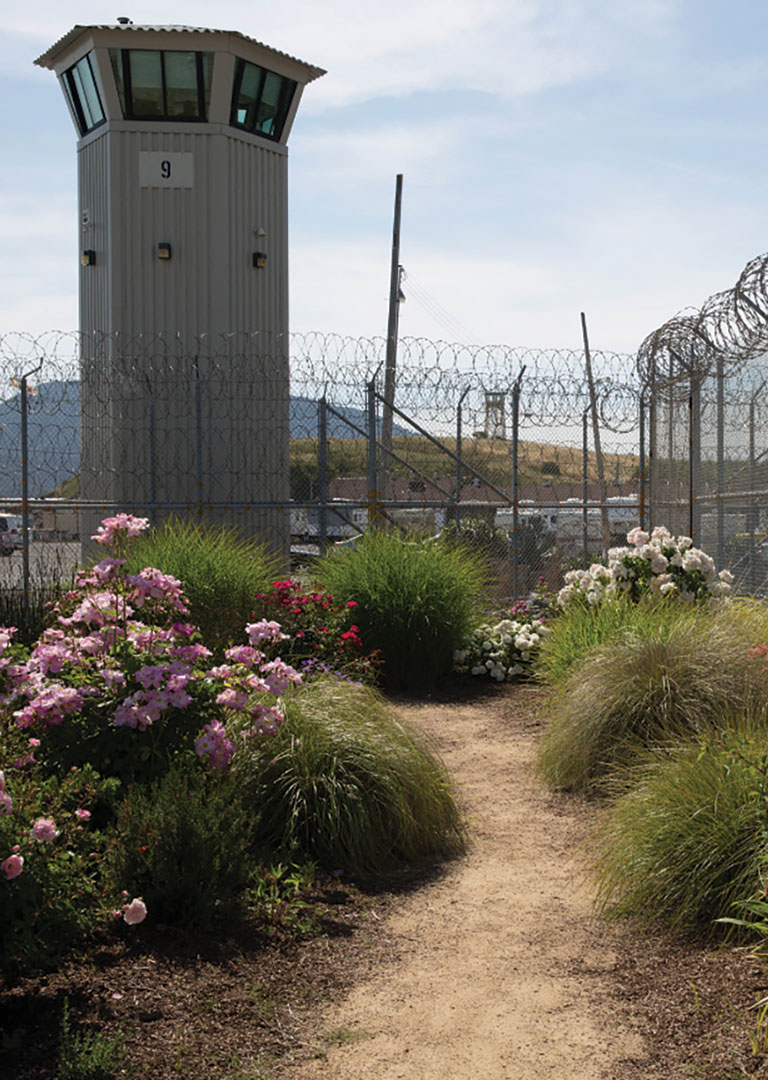 A garden featuring roses and native plants sits inside a high, barbed wire fence with a guard tower in the background.